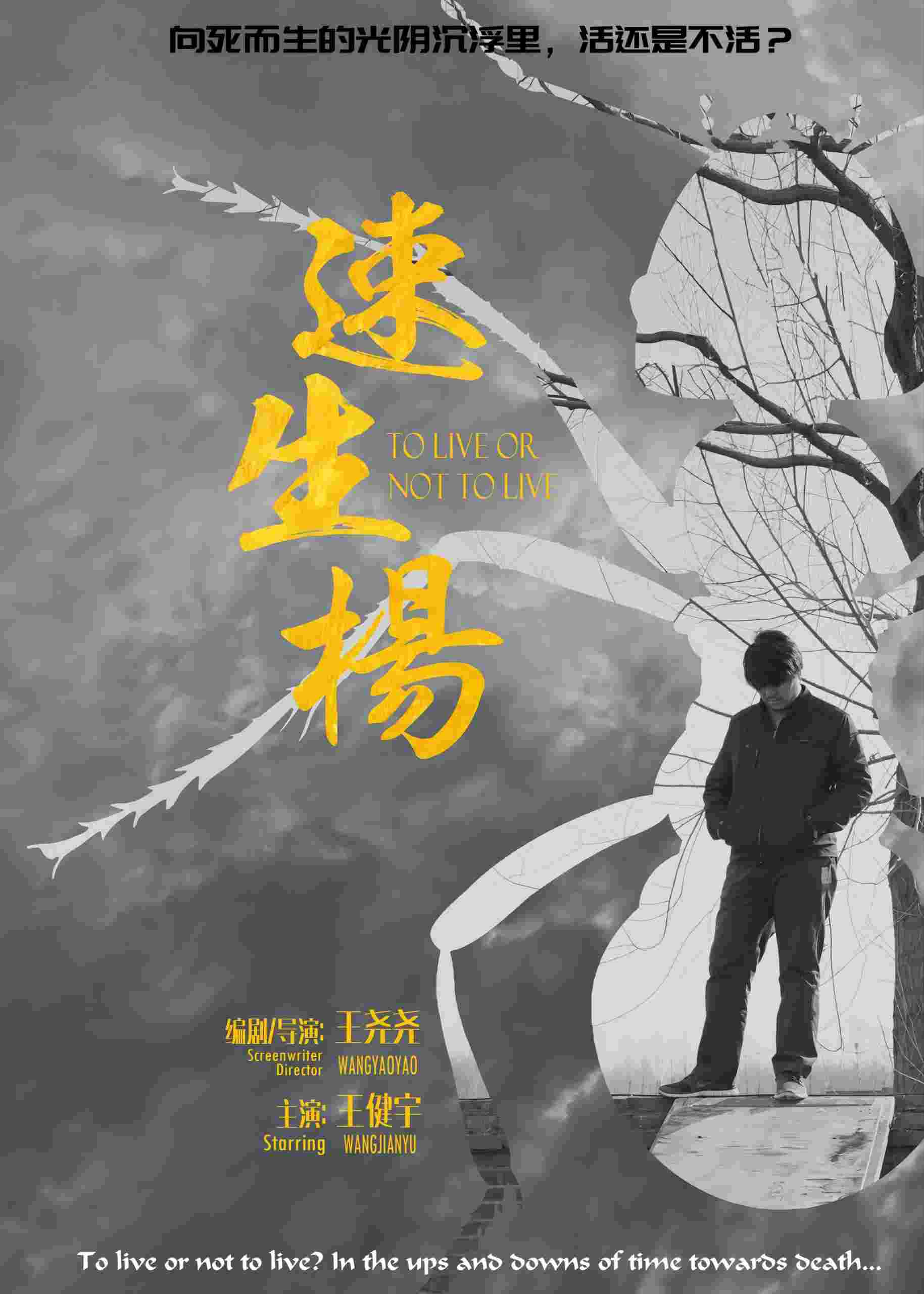 学员作品——《速生杨》