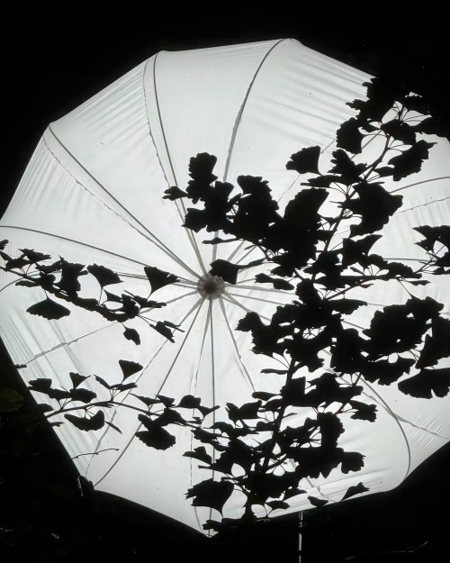 影视灯光实践研修班